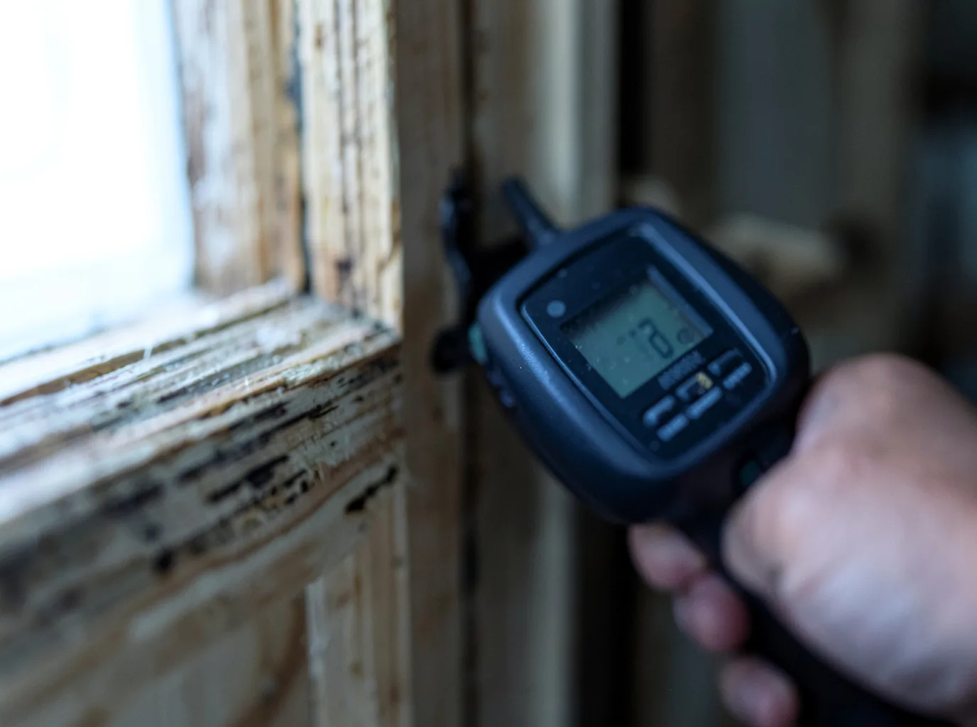 Moisture Inspection And Documentation in Goetzville, MI